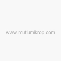 Havuz Suyu Diş Sağlığı İçin Risk Oluşturabilir